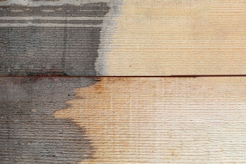 Нужно ли белить деревья